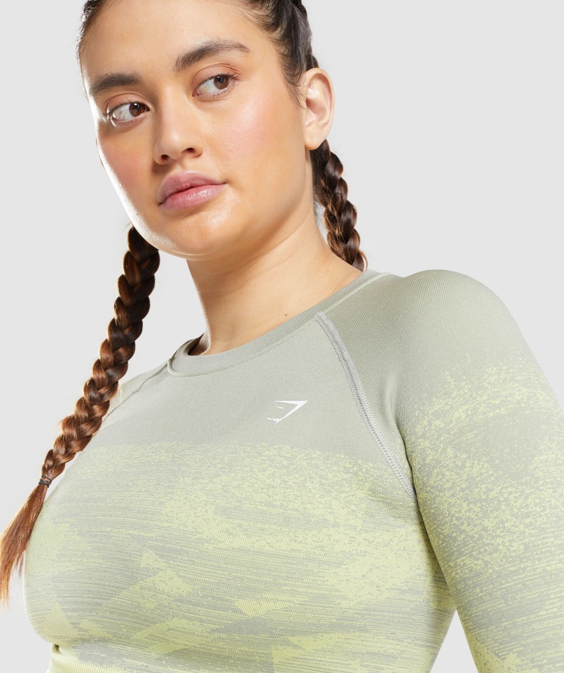 Adapt Top Ombre Crop Top Triángulo-taupe Gris Gymshark