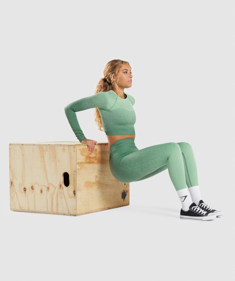 Top Corto De Manga Larga Sin Costuras Adapt Ombre Gymshark Verde Claro