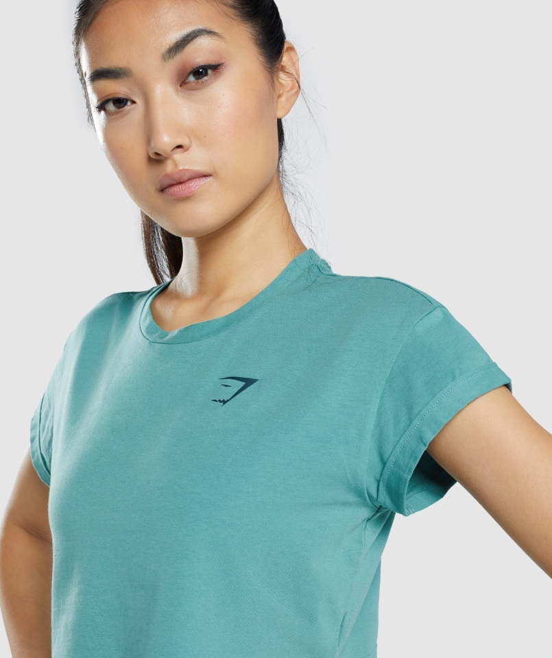 Camiseta Corta Con Gráfico Animal Verde Azulado Gymshark