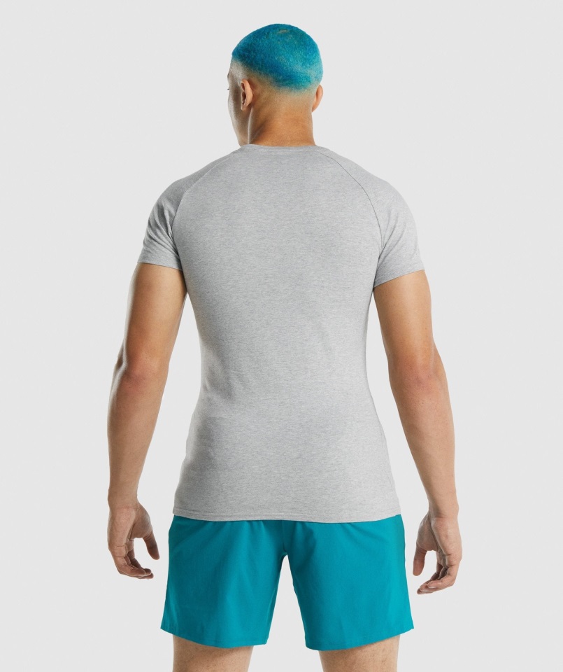 Camiseta Apollo Gris Claro Jaspeado Gymshark