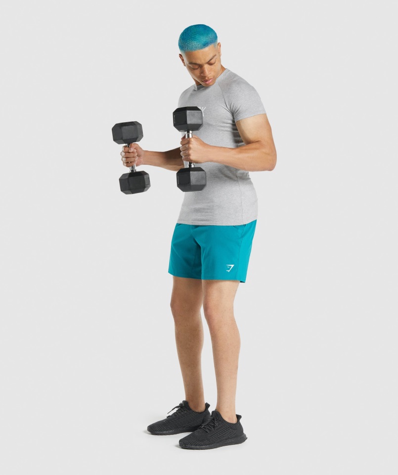 Camiseta Apollo Gris Claro Jaspeado Gymshark