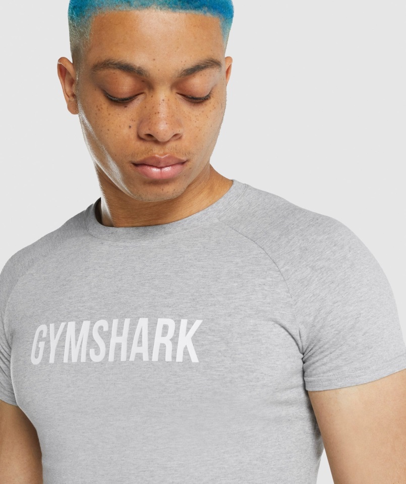 Camiseta Apollo Gris Claro Jaspeado Gymshark