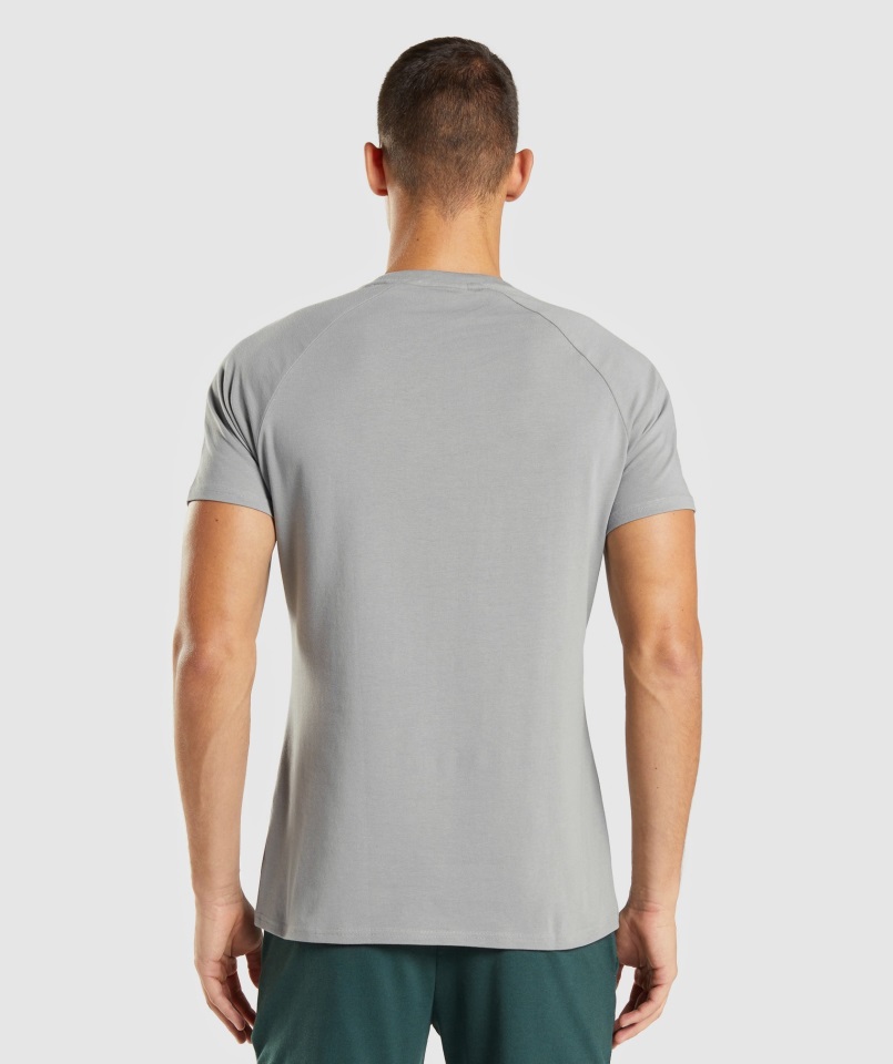 Camiseta Apollo Gris Ahumado Gymshark