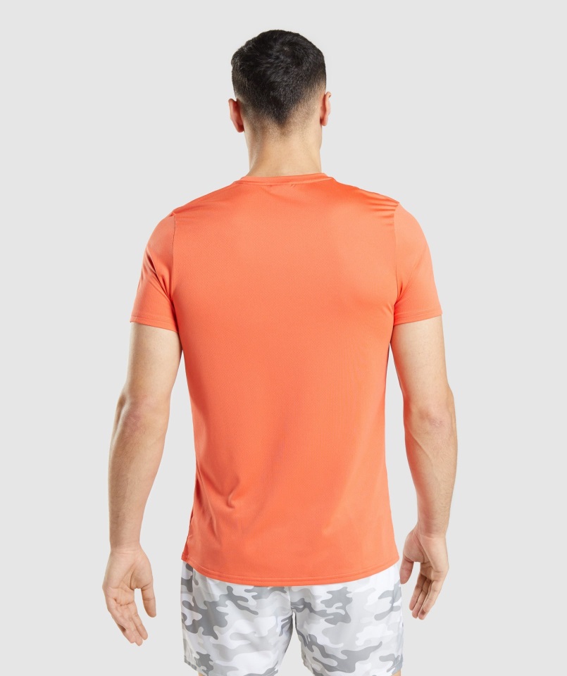 Llegada Camiseta Gráfica Papaya Naranja Gymshark