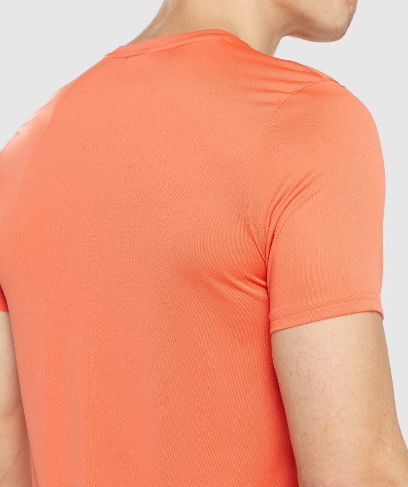 Llegada Camiseta Gráfica Papaya Naranja Gymshark