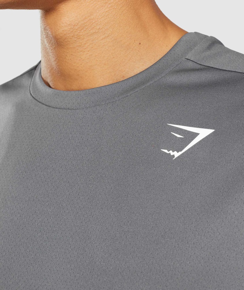 Llegada Camiseta Silueta Gris Gymshark