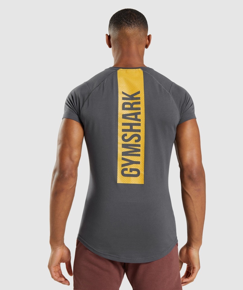 Negrita Camiseta Gris ónix Gymshark