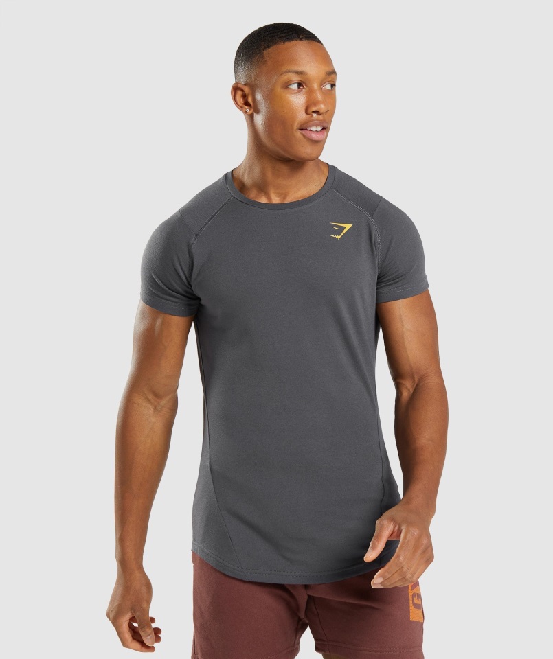 Negrita Camiseta Gris ónix Gymshark