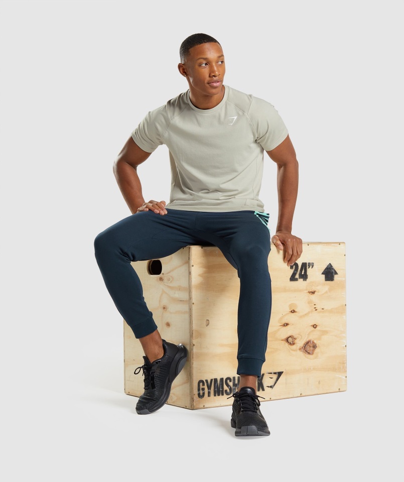 Negrita Camiseta Gris Guijarro Gymshark