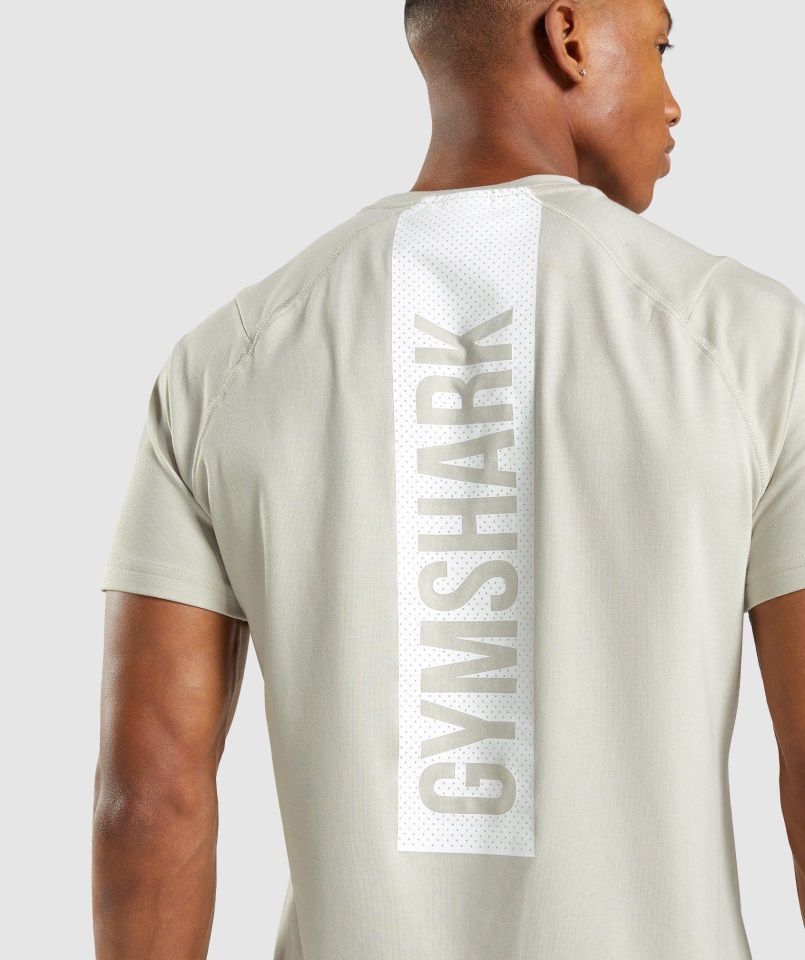 Negrita Camiseta Gris Guijarro Gymshark