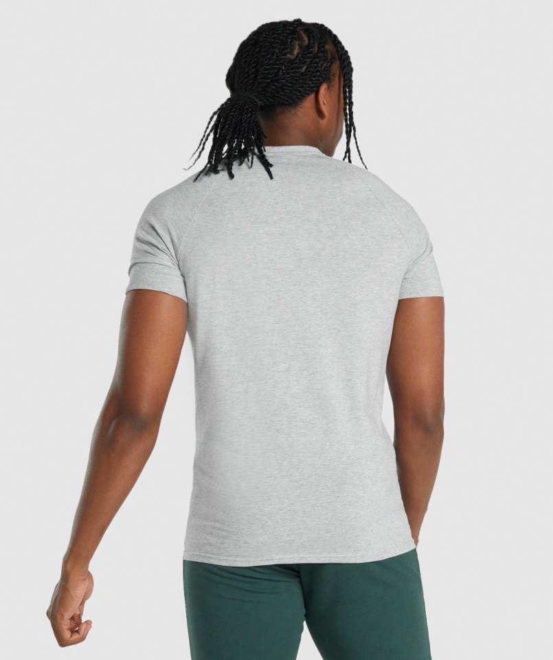 Camiseta Critical 2.0 Gris Claro Jaspeado Gymshark