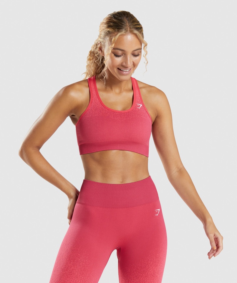 Sujetador Deportivo Gymshark Adapt Ombre Sin Costuras Rosa-rojo