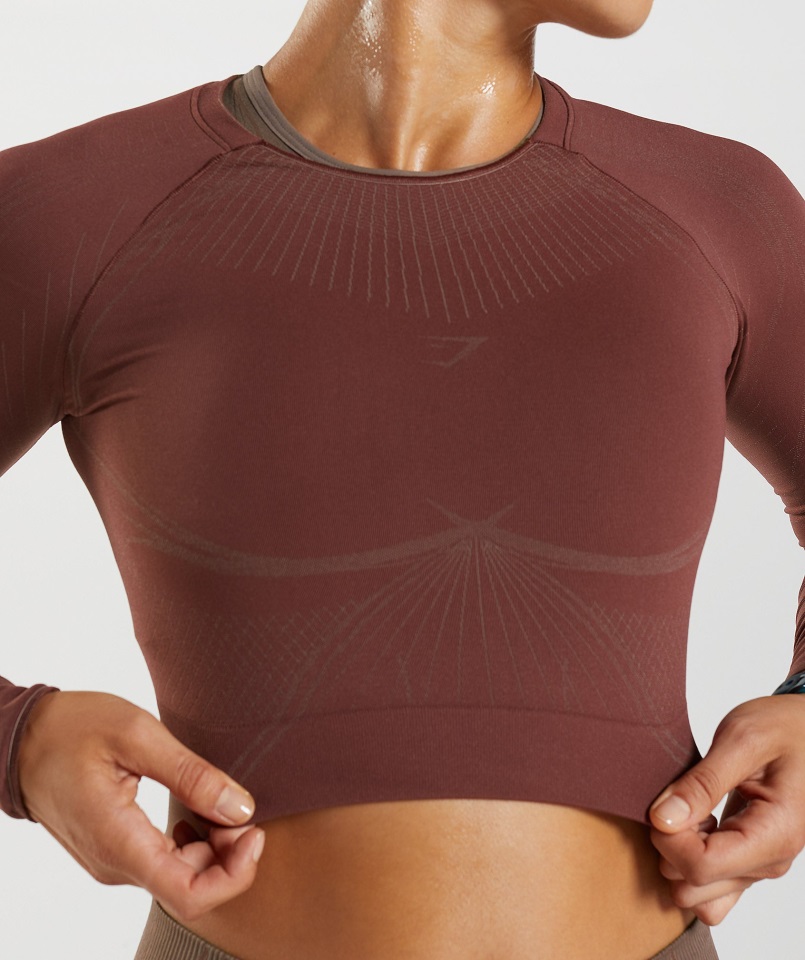 Gymshark Apex Crop Top Sin Costuras Marrón Cereza-marrón Trufa