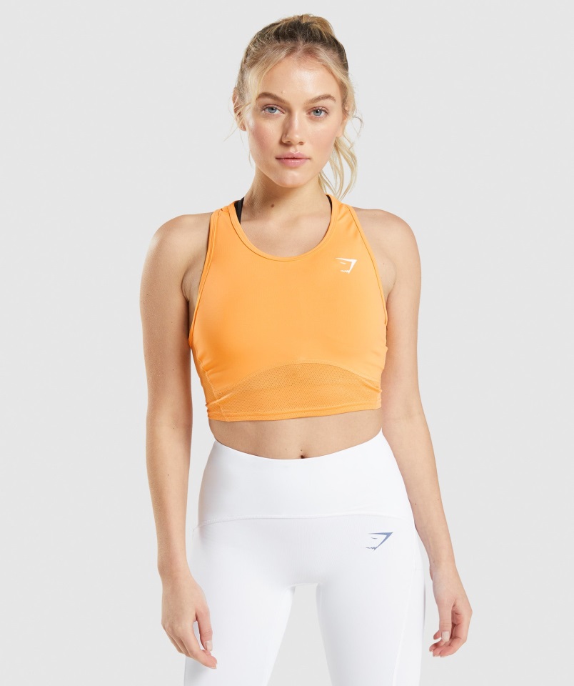 Gymshark Albaricoque Naranja Legumbre Tanque De Cultivo