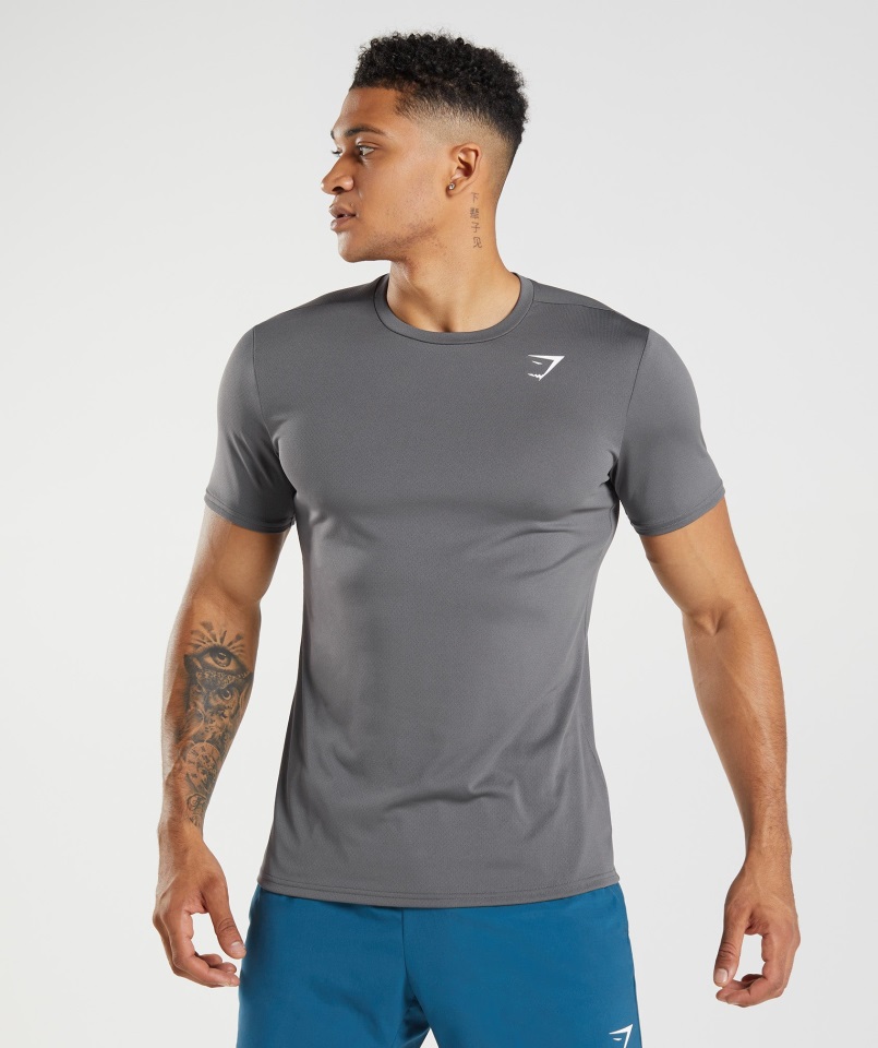 Gymshark Llegada Camiseta Silueta Gris