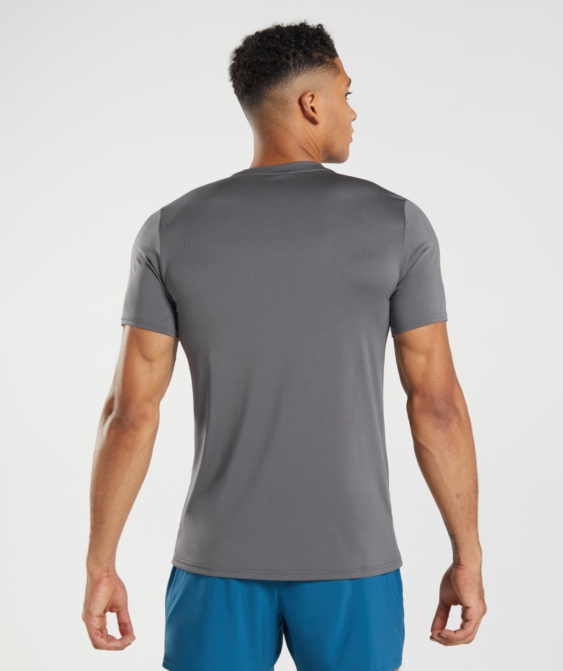 Gymshark Llegada Camiseta Silueta Gris