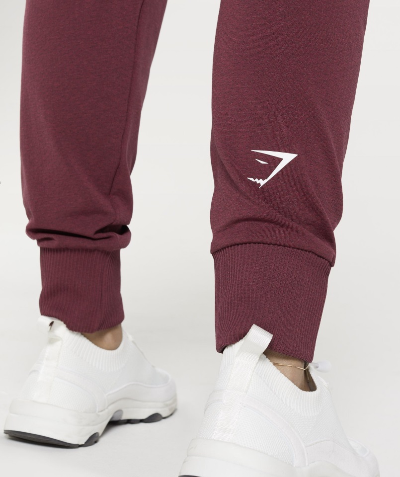 Gymshark Joggers Sin Costuras 2.0 Granate Jaspeado Horneado Vital