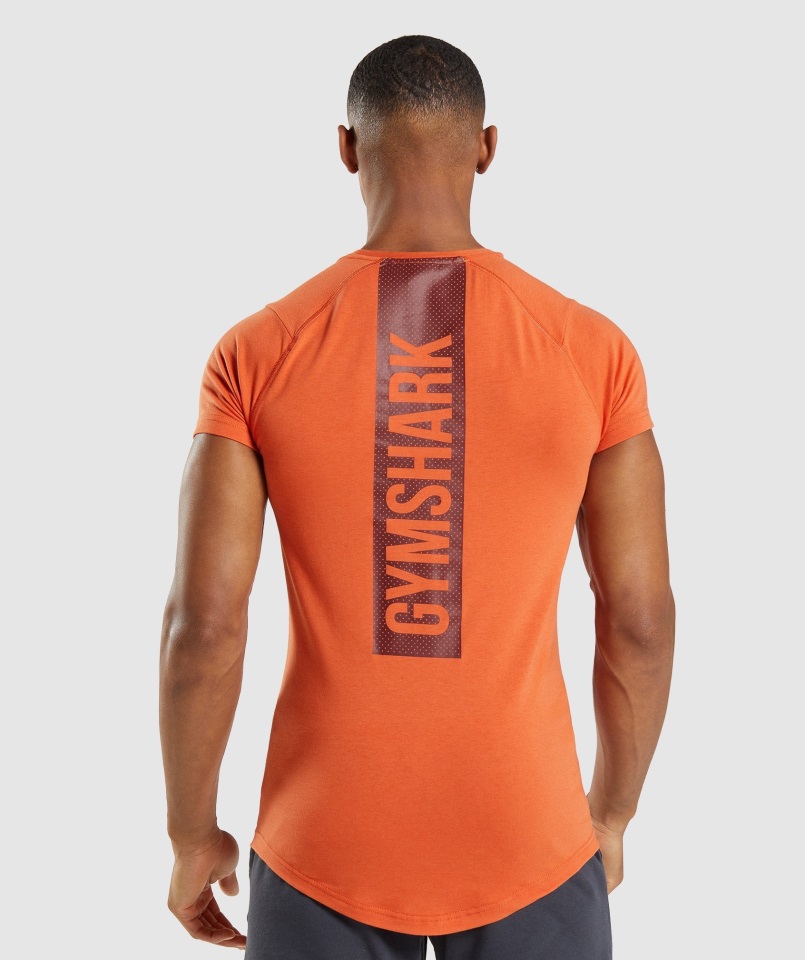 Camiseta Gymshark Bold Naranja Arcilla