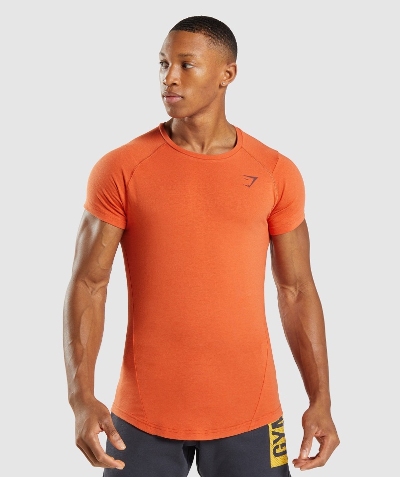 Camiseta Gymshark Bold Naranja Arcilla
