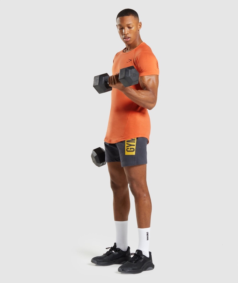 Camiseta Gymshark Bold Naranja Arcilla