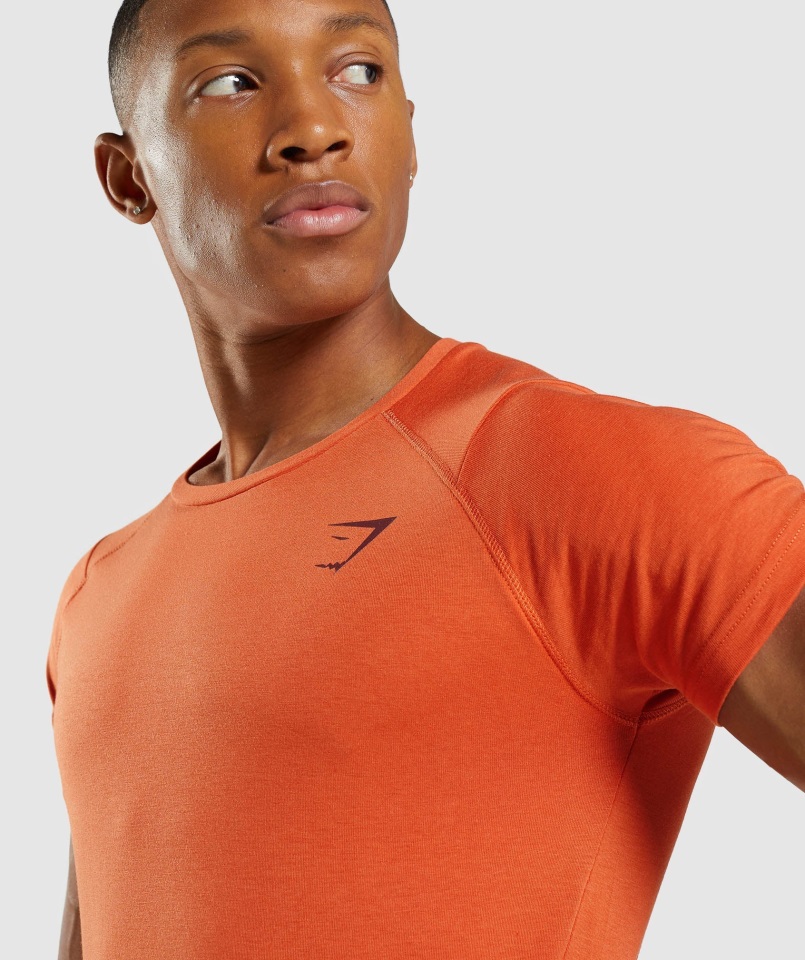 Camiseta Gymshark Bold Naranja Arcilla