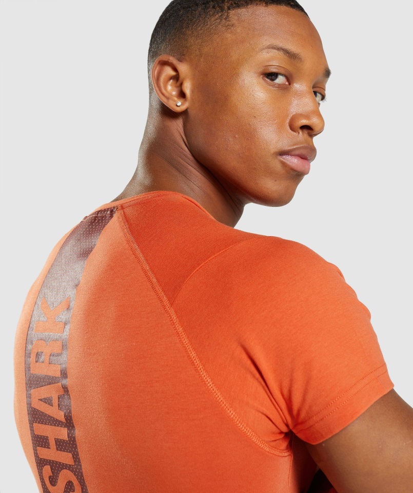 Camiseta Gymshark Bold Naranja Arcilla