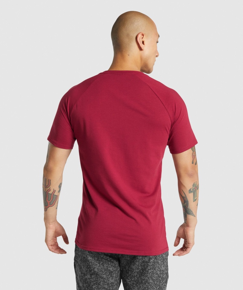 Camiseta Gymshark Borgoña Critical 2.0