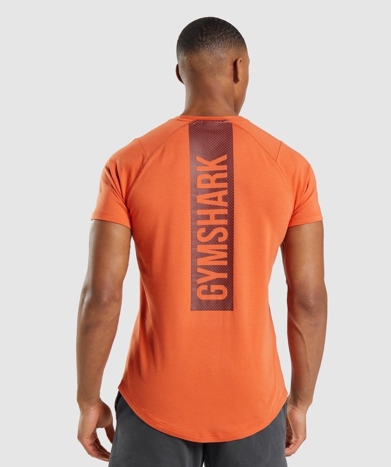 Camiseta Gymshark Naranja Arcilla Negrita