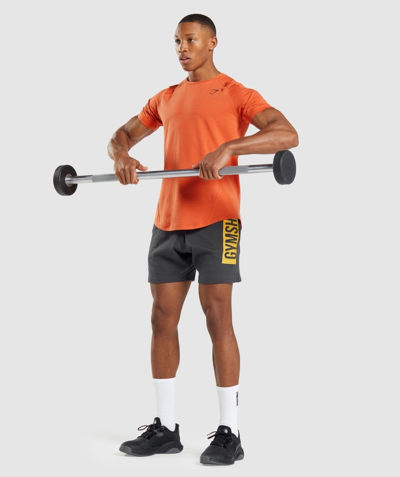 Camiseta Gymshark Naranja Arcilla Negrita