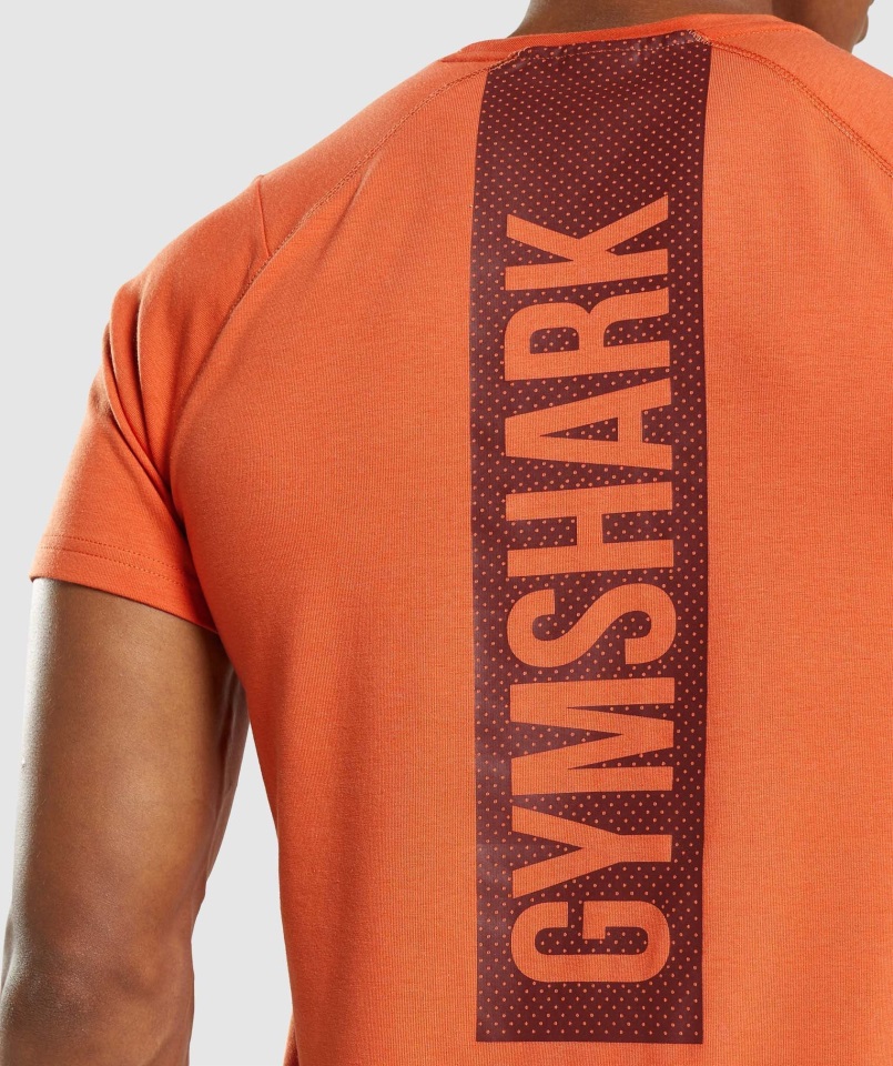 Camiseta Gymshark Naranja Arcilla Negrita