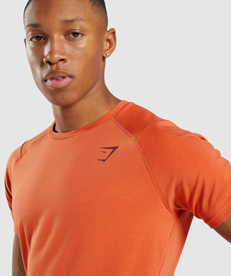 Camiseta Gymshark Naranja Arcilla Negrita