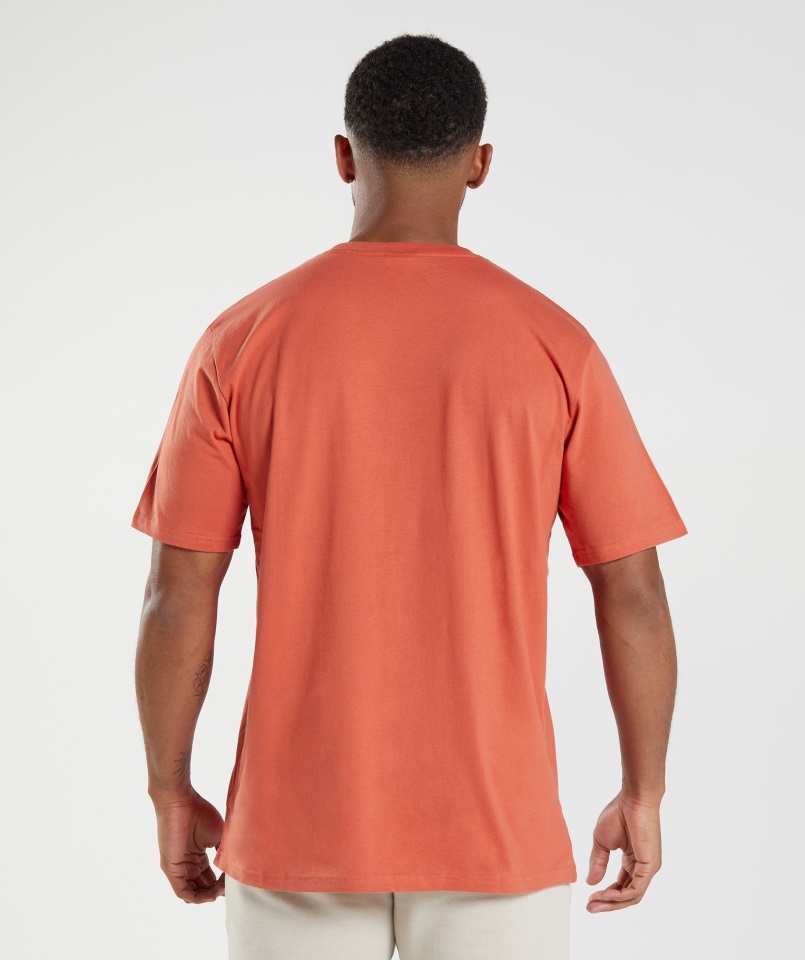 Camiseta Gymshark Crest Rojo Tormenta