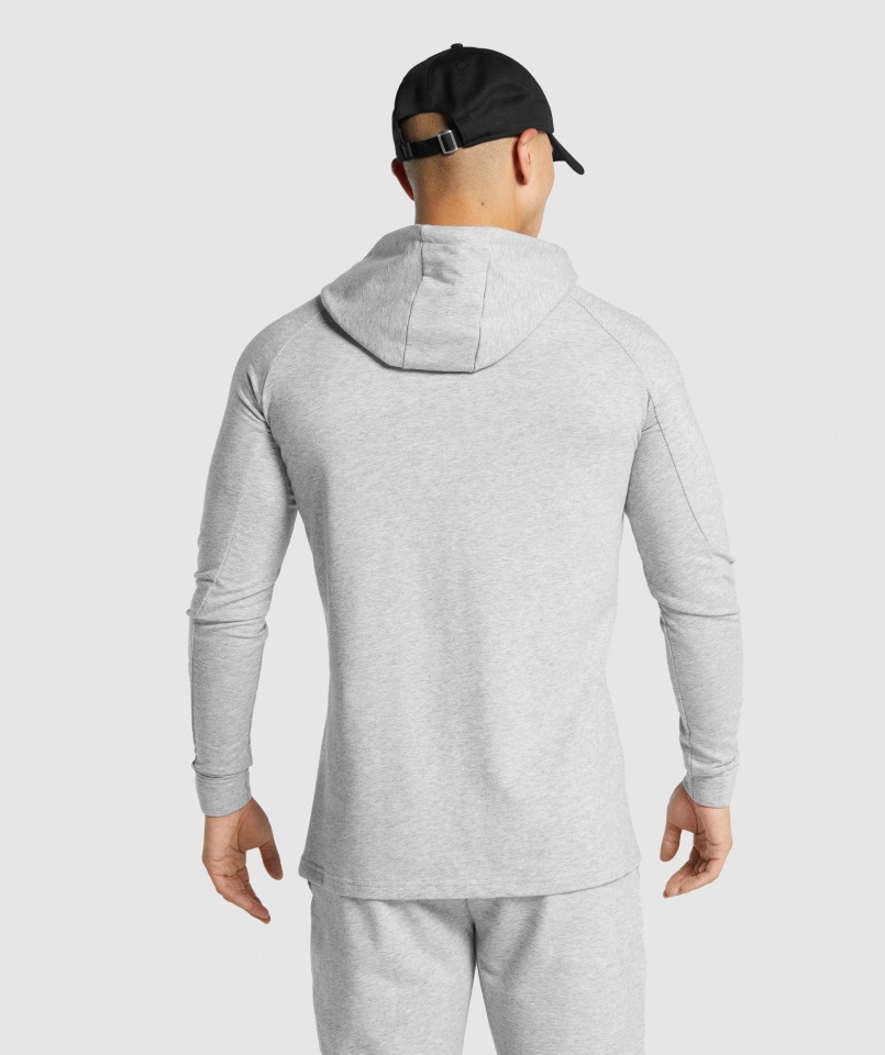 Sudadera Con Capucha Gymshark Critical 2.0 Gris Claro Jaspeado