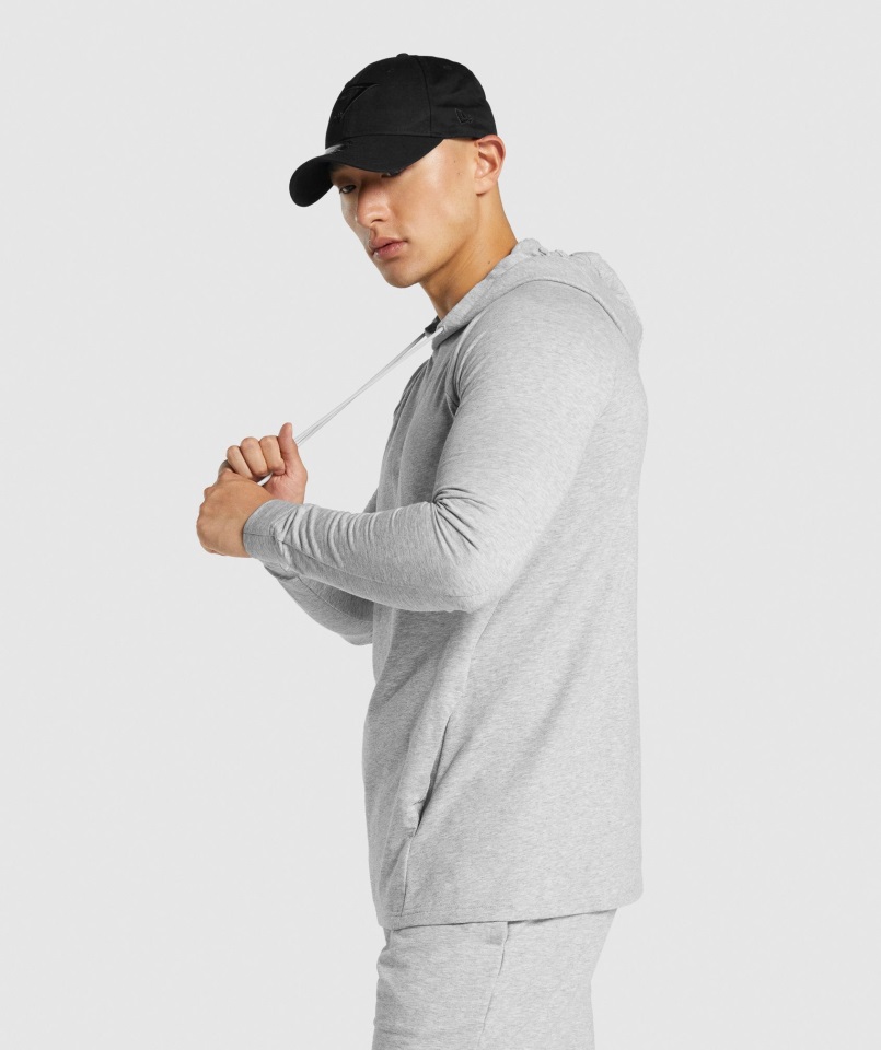 Sudadera Con Capucha Gymshark Critical 2.0 Gris Claro Jaspeado