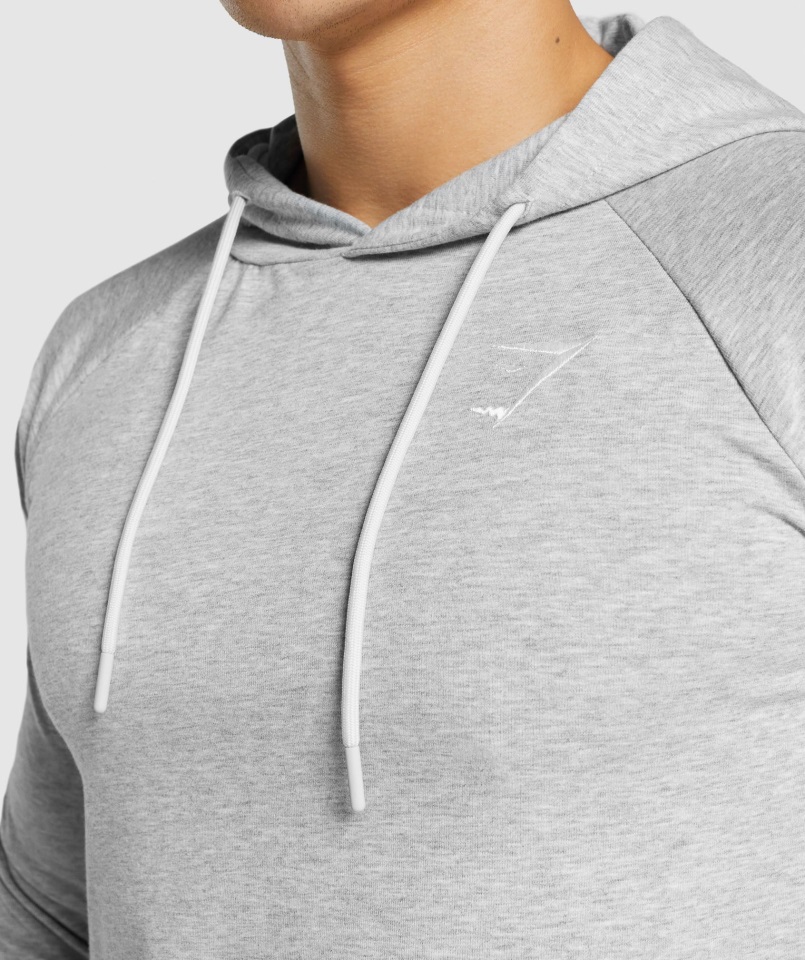 Sudadera Con Capucha Gymshark Critical 2.0 Gris Claro Jaspeado