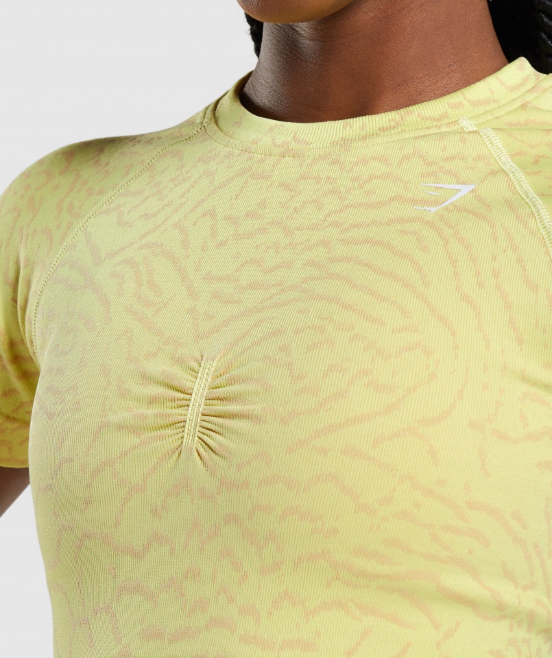 Gymshark Híbrido-luciérnaga Amarillo Adapt Animal Camiseta Sin Costuras