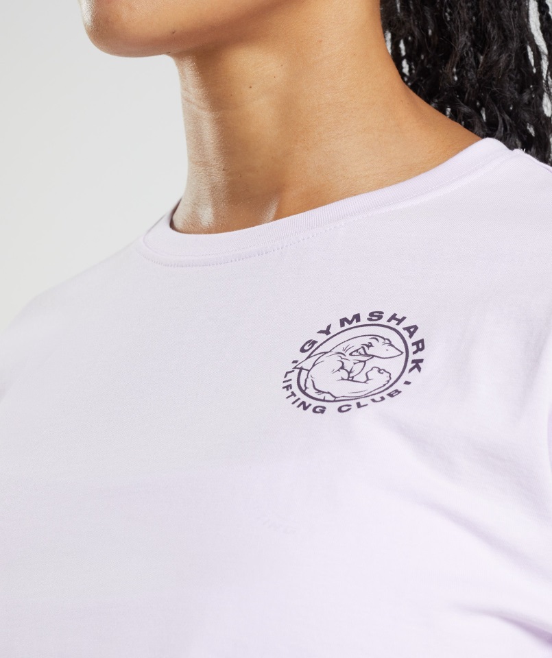 Crop Top Gymshark Legacy Lila Desteñido