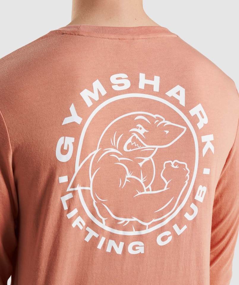 Camiseta Gymshark Legacy Manga Larga Rosa Nevada