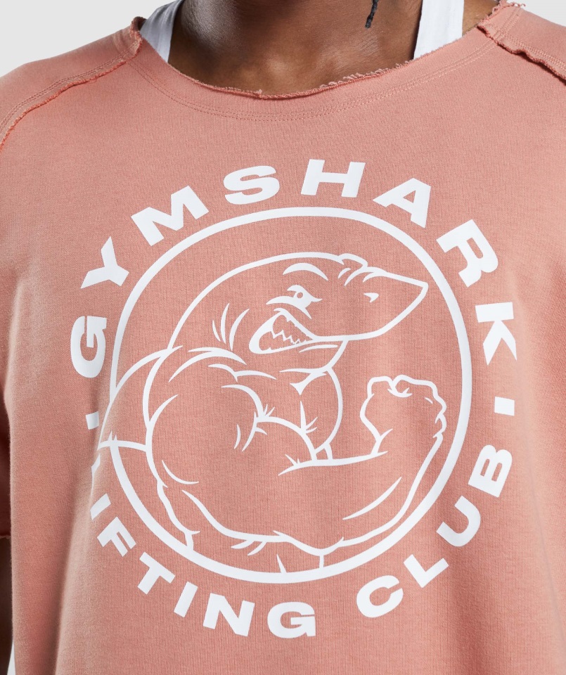 Gymshark Legacy Camiseta De Trapo Rosa Nevada