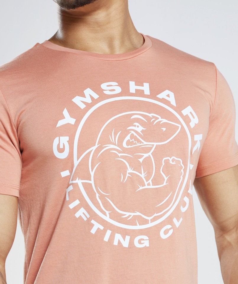 Camiseta Gymshark Legacy Nevada Rosa