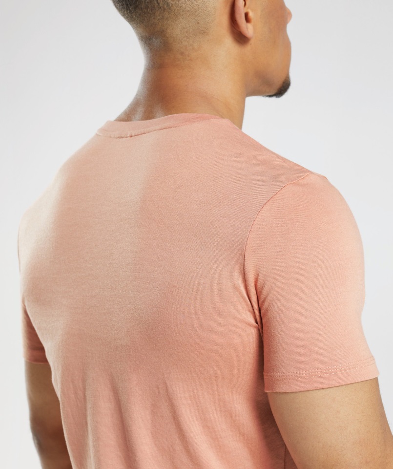 Camiseta Gymshark Legacy Nevada Rosa