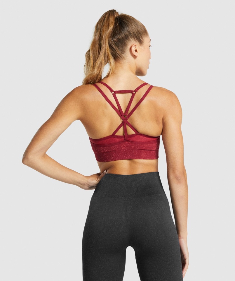 Sujetador Deportivo Gymshark Sin Costuras Adapt Fleck Mineral Burdeos