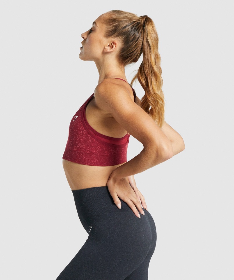 Sujetador Deportivo Gymshark Sin Costuras Adapt Fleck Mineral Burdeos