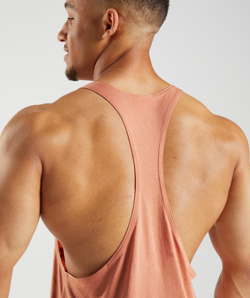 Gymshark Nevada Rosa Legado Larguero