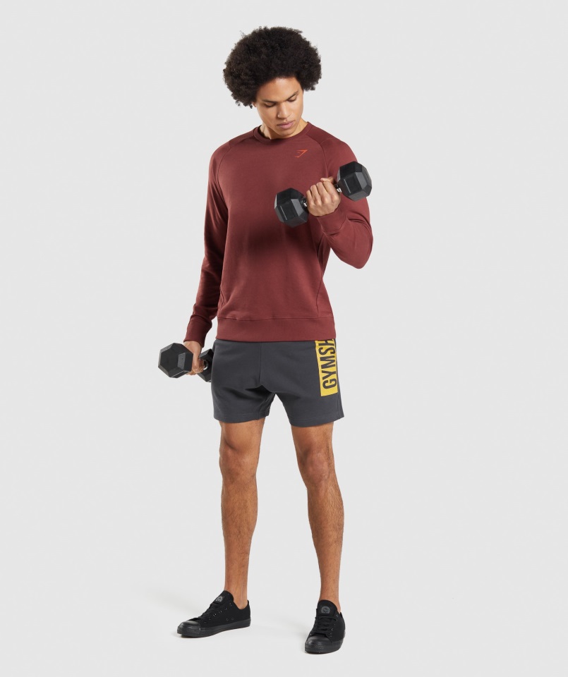 Shorts Atrevidos En Gris ónix Gymshark