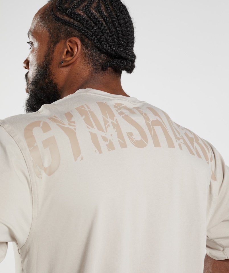 Camiseta Gymshark Power Gris Guijarro