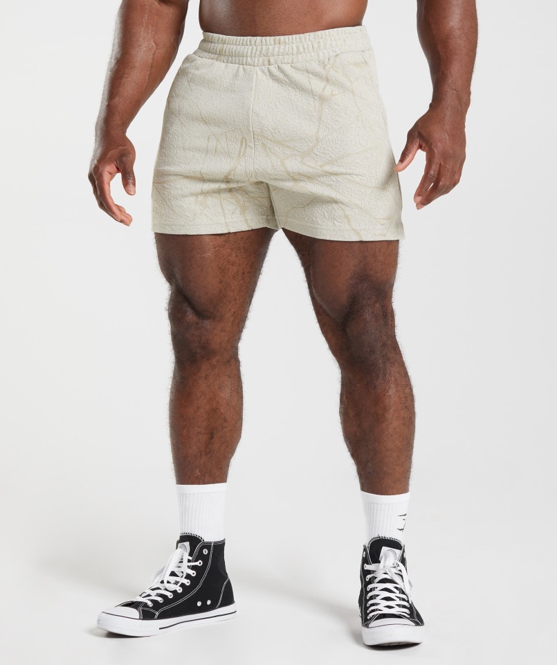 Pantalón Corto Gymshark Gris Guijarro Power 5"