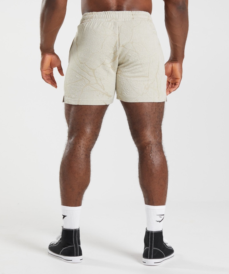 Pantalón Corto Gymshark Gris Guijarro Power 5