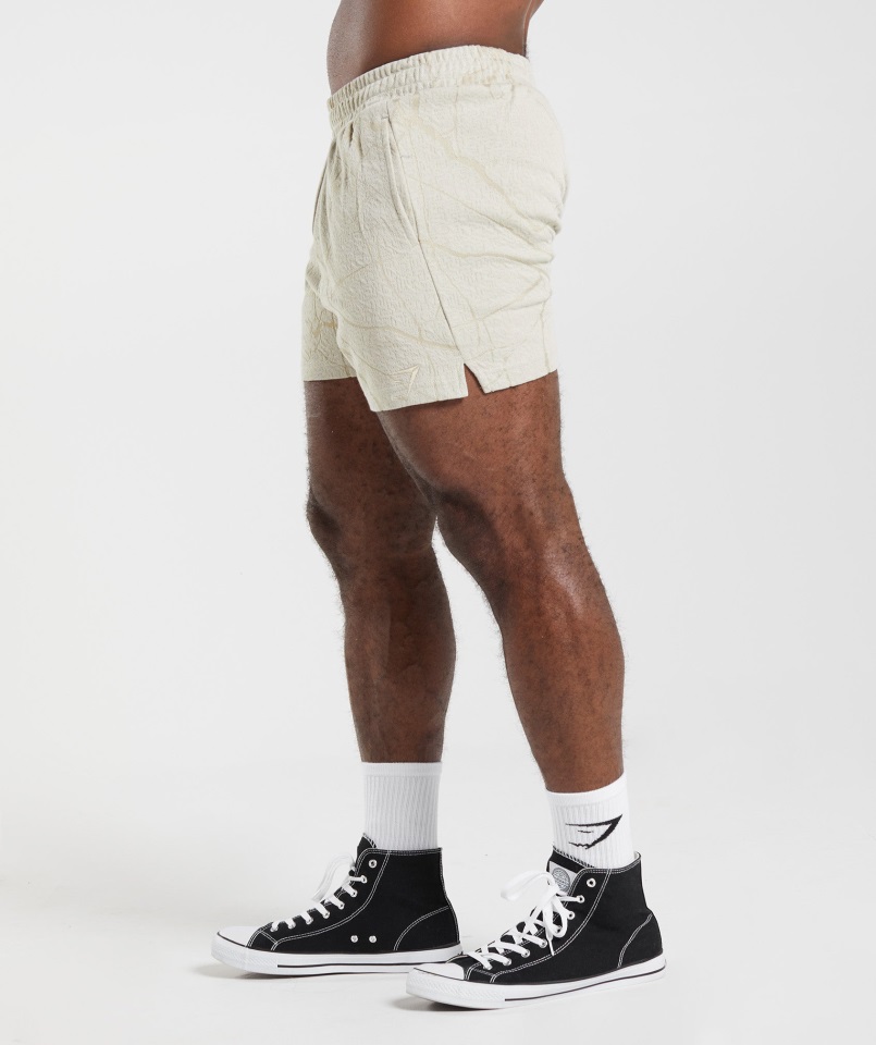 Pantalón Corto Gymshark Gris Guijarro Power 5