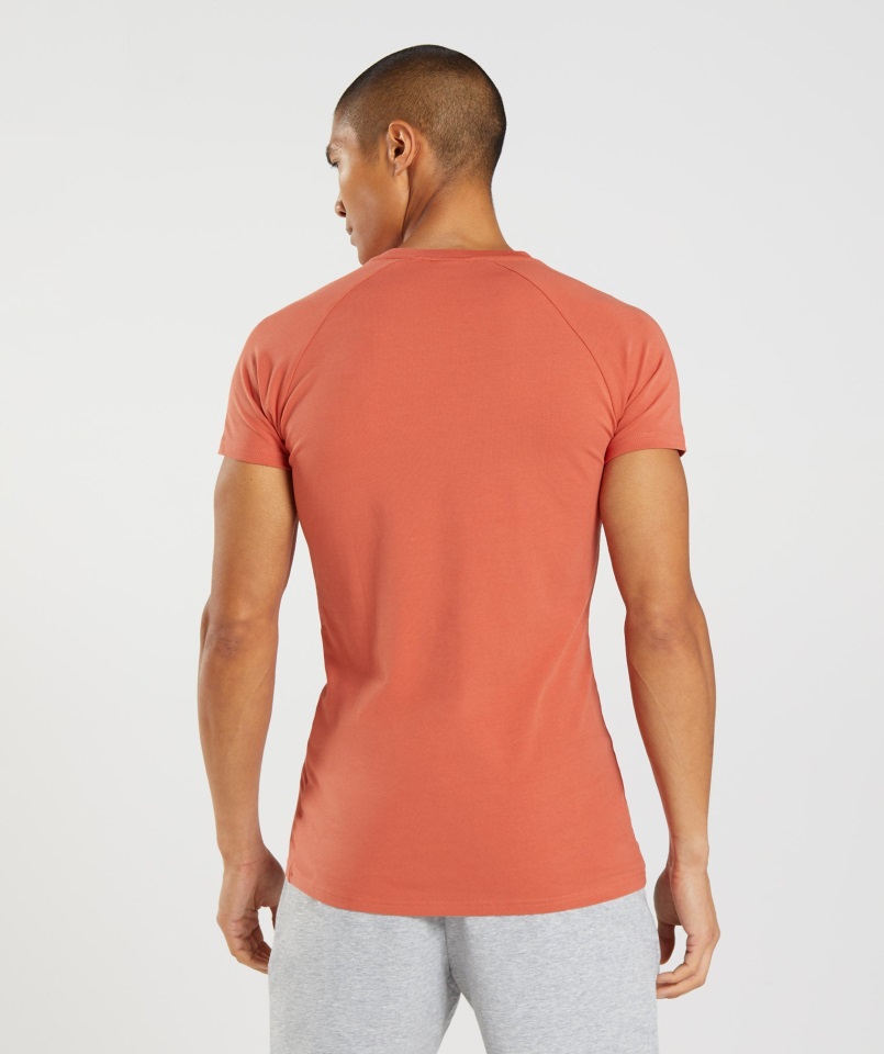 Camiseta Gymshark Storm Rojo Apolo